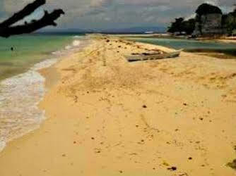 Pamilacan Island Tourist Inn And Restaurant Bohol Dış mekan fotoğraf
